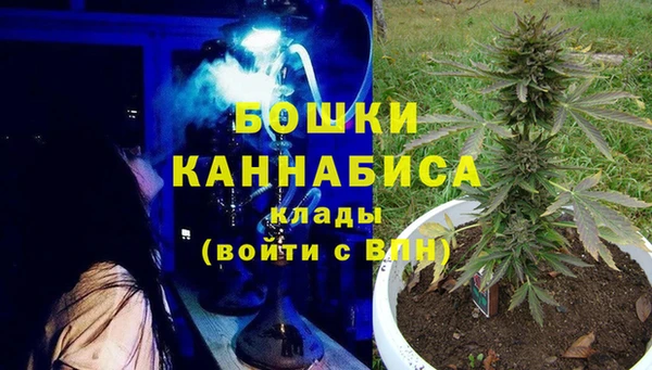 прущие грибы Баксан