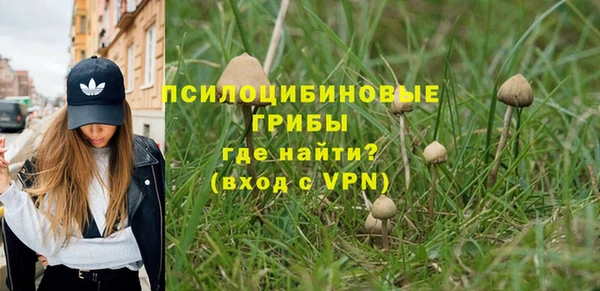 ALPHA-PVP Аркадак