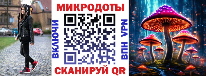 Псилоцибиновые грибы мицелий  Тамбов 