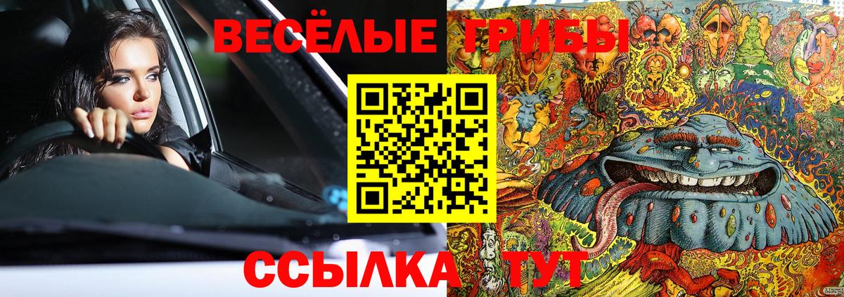 Тамбов  Галлюциногенные грибы MAGIC MUSHROOMS  Вход с VPN 