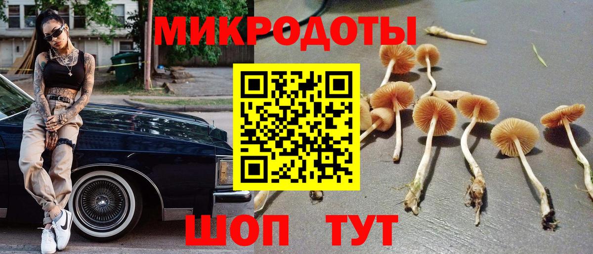 Псилоцибиновые грибы Magic Shrooms Тамбов